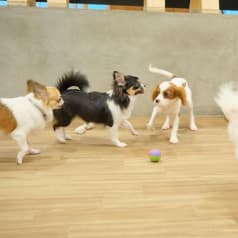 AHBASE エーエイチベース 2