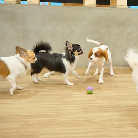 AHBASE エーエイチベース