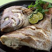 はいから酒場 頓珍館 3