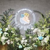 J FEST ジェーフェスト 3