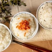 TSUKUMO食堂 ツクモショクドウ マルエイガレリア店 3