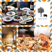 TREE&ELEPHANT ツリーアンドエレファント 3