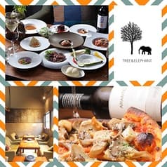 TREE&ELEPHANT ツリーアンドエレファント 2