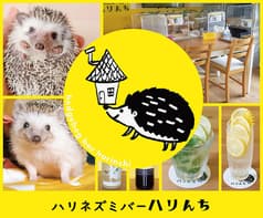 ハリネズミバー ハリんち 2