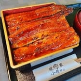 鰻家 小佐田 佐原本館 3