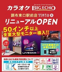 ビッグエコー BIG ECHO 調布東口駅前店 2
