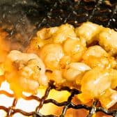 備長炭火ホルモン焼 しちりん 西船橋南口店 3