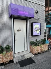 orchid オーキッド 2