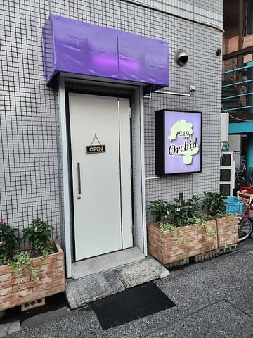 orchid オーキッド