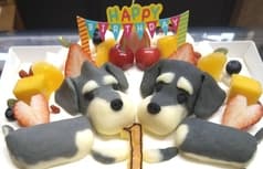 わん菓子工房 mionon 2