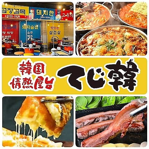韓国情熱屋台 てじ韓 岡崎店