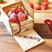 COLONY by EQI 心斎橋店 3