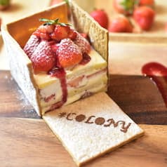 COLONY by EQI 心斎橋店 2