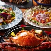 Dining Bar ZOP ゾップ 3