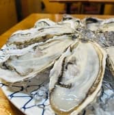 私は貝になりたい 札幌つなぐ横丁 3