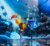 BAR WISTERIA バー ウィステリア 3