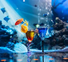 BAR WISTERIA バー ウィステリア 2