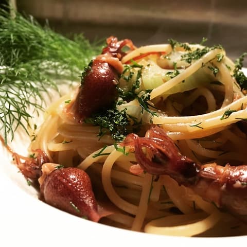 Bisteria Gufo ビステリア グーフォ