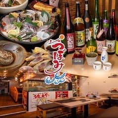 心に活きる金魚 つぼみ 2