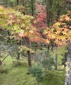 寺cafe 花美津姫 3