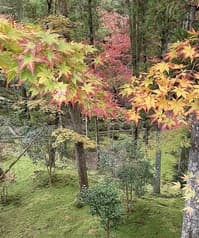 寺cafe 花美津姫 2