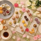 SUD Terrace&Bar スッド テラスアンドバー 3