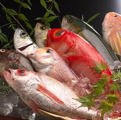 湊〇 そうえん 2