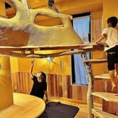 ピザ窯カフェ&Bar もりのたね 3