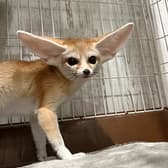 フレカ 三宮店 3