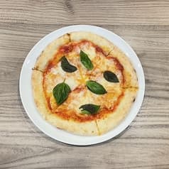 Maltese マルチーズ 2