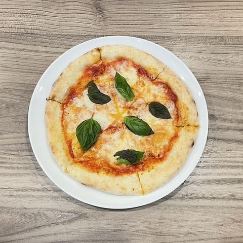 Maltese マルチーズ