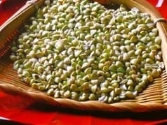 東吾 流山市鰭ケ崎 2