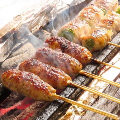 TORI TON トリトン 大和