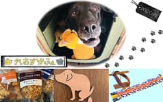 れおずかふぇ 2