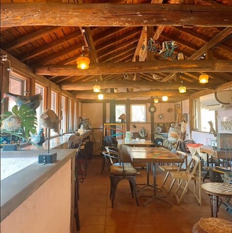 mana harree まなはれ