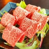 MEAT ZOMBIE feat CHAIN ミートゾンビ 3