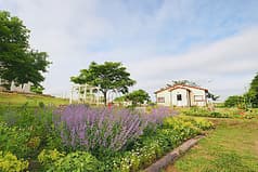 丘の上のオーベルジュ ハートンツリー 2