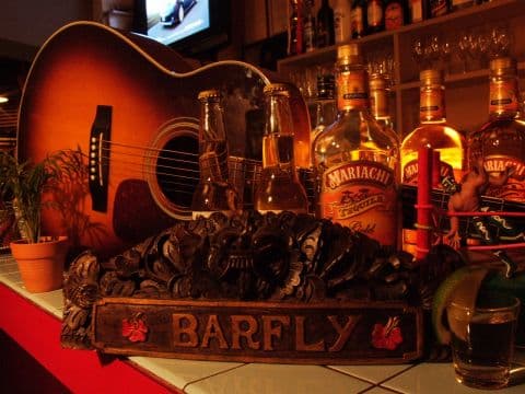 BARFLY
