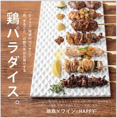 KOBE YAKITORI STAND 野乃鳥 新宿店 2