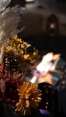 シーシャカフェ&バー musch 天神大名店 2