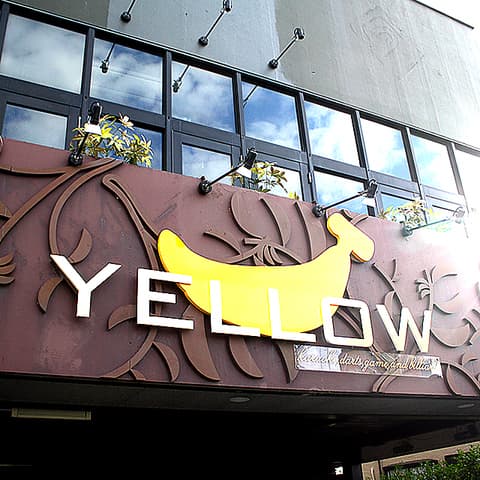 カラオケ イエロー