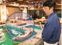 漁師料理 かつら亭 蒲刈本店 2