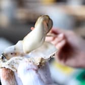 せとうち兵庫水産研究所 牡蠣小屋 HOPLAND 播州赤穂 3