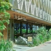 THE Tender HOUSE DINING ザ テンダーハウス ダイニング 3