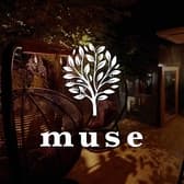 シーシャカフェ&バー muse 札幌店 3