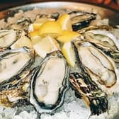 KAKIMASA カキマサ 石山店 3