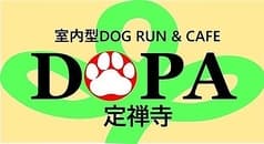 室内型DOG RUN & CAFE「DOPA」定禅寺 2