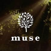 シーシャカフェ&バー muse 名古屋錦店 3