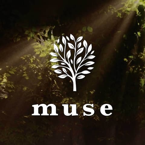 シーシャカフェ&バー muse 名古屋錦店