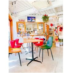 DOG DEPT +CAFE 港の見える丘公園店 2